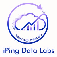 iPing Data Labs LLP logo, iPing Data Labs LLP contact details