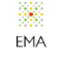 The Emerging Market Advisors logo, The Emerging Market Advisors contact details