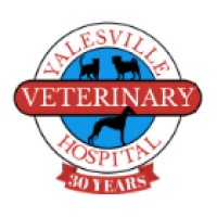 Yalesville Veterinary Hospital, Inc logo, Yalesville Veterinary Hospital, Inc contact details