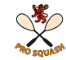 Pro Squash, Inc. logo, Pro Squash, Inc. contact details