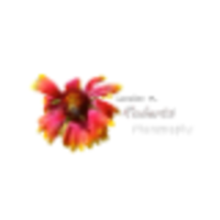 Candice M. Roberts Photography logo, Candice M. Roberts Photography contact details