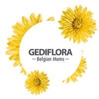 Gediflora bv logo, Gediflora bv contact details