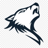 ByteWolf logo, ByteWolf contact details