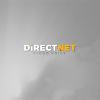 DirectNet Corp logo, DirectNet Corp contact details