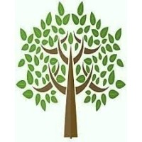 The Speech Tree Therapy Center logo, The Speech Tree Therapy Center contact details