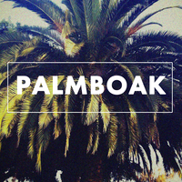 PalmBoak Inc. logo, PalmBoak Inc. contact details