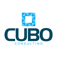 Cubo Consulting IT logo, Cubo Consulting IT contact details