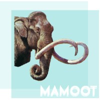 Mamoot logo, Mamoot contact details