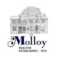 Molloy Realtor logo, Molloy Realtor contact details