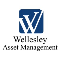 Wellesley Investment Advisors, Inc. logo, Wellesley Investment Advisors, Inc. contact details