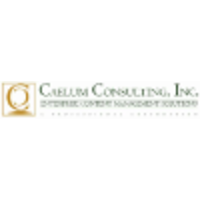 Caelum Consulting logo, Caelum Consulting contact details