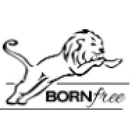 Born Free RV logo, Born Free RV contact details