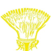 Dandelion Foodscapes logo, Dandelion Foodscapes contact details