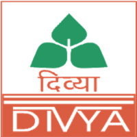 Divya Seeds logo, Divya Seeds contact details