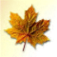 Foliage Properties LLC logo, Foliage Properties LLC contact details