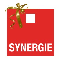 Synergie Suisse logo, Synergie Suisse contact details