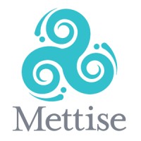 The Mettise Group logo, The Mettise Group contact details