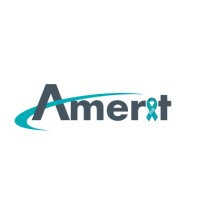 AMERIT CONSULTING INC. logo, AMERIT CONSULTING INC. contact details