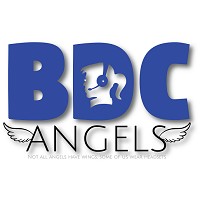 BDC Angels LLC logo, BDC Angels LLC contact details