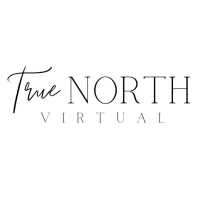 True North Virtual logo, True North Virtual contact details