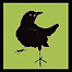 BlackBird Frame & Art logo, BlackBird Frame & Art contact details