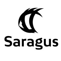 Saragus Partners logo, Saragus Partners contact details