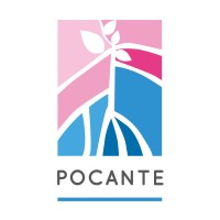 Rede Pocante logo, Rede Pocante contact details