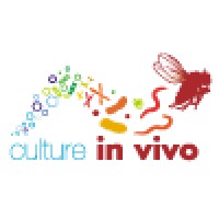 ASBL Culture in vivo logo, ASBL Culture in vivo contact details