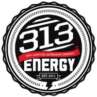 313 Energy logo, 313 Energy contact details