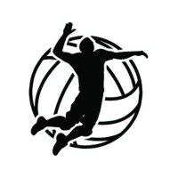 Next Level Volleyball logo, Next Level Volleyball contact details