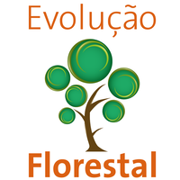 EVOLUÇÃO FLORESTAL logo, EVOLUÇÃO FLORESTAL contact details