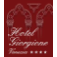 Hotel Giorgione logo, Hotel Giorgione contact details