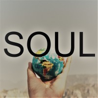 Soul LLC logo, Soul LLC contact details