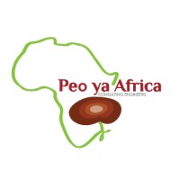 Peo Ya Africa Consulting Engineering (Pty) Ltd logo, Peo Ya Africa Consulting Engineering (Pty) Ltd contact details