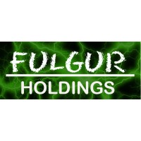 Fulgur Holdings LLC logo, Fulgur Holdings LLC contact details