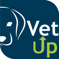 Vet Up Educação logo, Vet Up Educação contact details