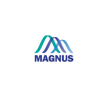 Magnus LLC logo, Magnus LLC contact details