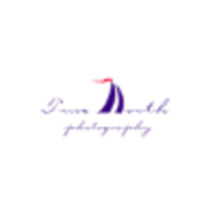 True North Photography logo, True North Photography contact details