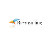 BICONSULTING logo, BICONSULTING contact details