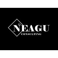 Neagu Consulting logo, Neagu Consulting contact details