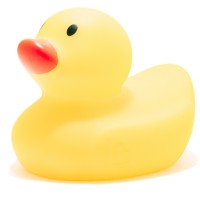 Excellent Rubber Duck, LLC logo, Excellent Rubber Duck, LLC contact details