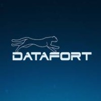 DATAFORT Tecnologia logo, DATAFORT Tecnologia contact details