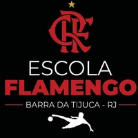 Escola Oficial de Futebol do Flamengo - Fla Barra e regiao (RJ) logo, Escola Oficial de Futebol do Flamengo - Fla Barra e regiao (RJ) contact details