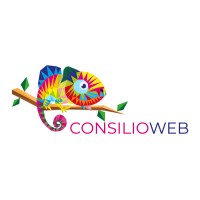 ConsilioWEB logo, ConsilioWEB contact details