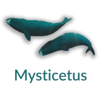 Mysticetus logo, Mysticetus contact details