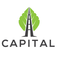 Capital Consulting Solutions logo, Capital Consulting Solutions contact details