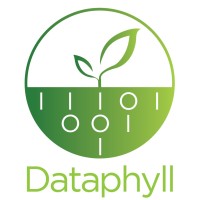 Dataphyll Limited logo, Dataphyll Limited contact details