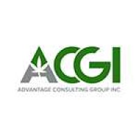 Advantage Consulting Group, Inc logo, Advantage Consulting Group, Inc contact details