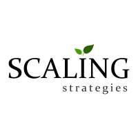 Scaling Strategies logo, Scaling Strategies contact details