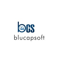 Blucapsoft LLC logo, Blucapsoft LLC contact details